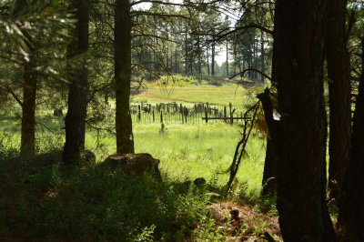 DSC_0016.JPG