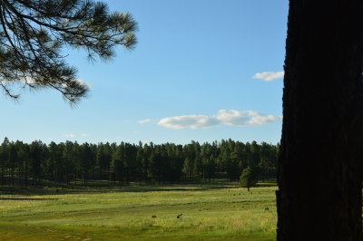 DSC_0021.JPG