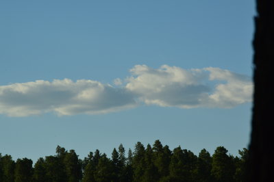 DSC_0022.JPG