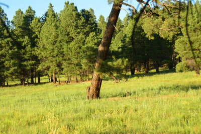 DSC_0026.JPG