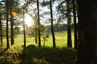 DSC_0032.JPG