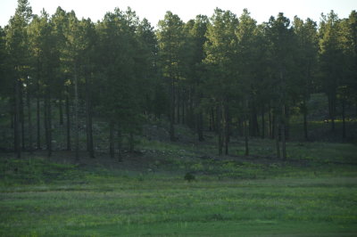 DSC_0034.JPG