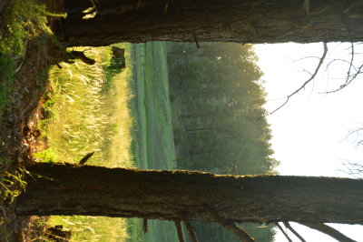 DSC_0035.JPG