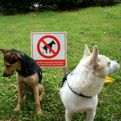 Prohibido cagar perros.