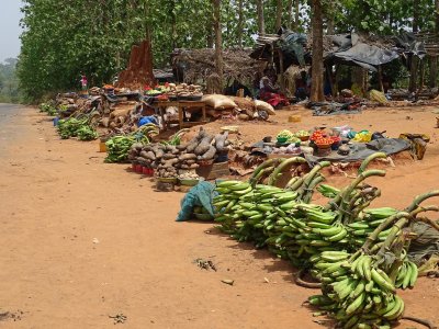 A village market