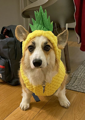 Thorgi pineapple.jpg