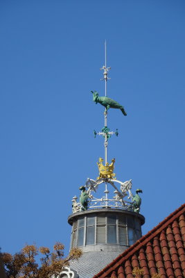 DSC00915.JPG