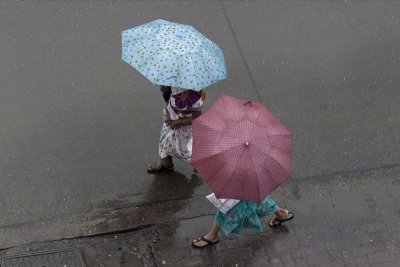 umbrellas