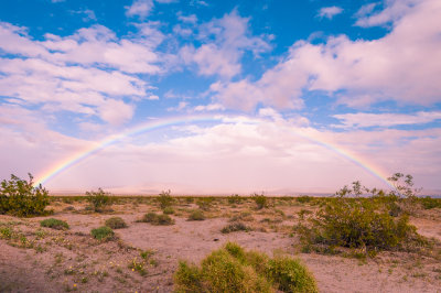 Rainbow!.jpg