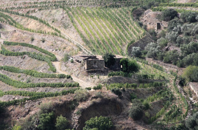 Douro valley