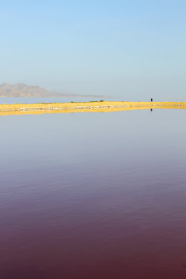 Maharloo lake (pink lake)