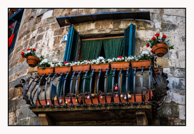 Lucca, Tuscanny - Italy