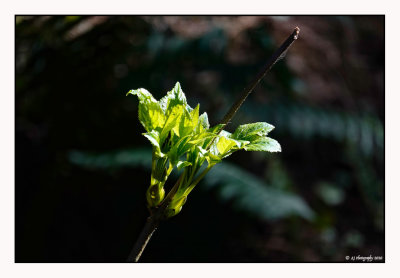 Reaching out...