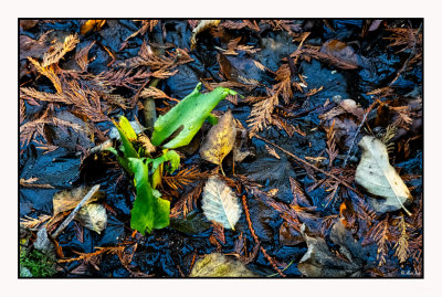 Standing Out...