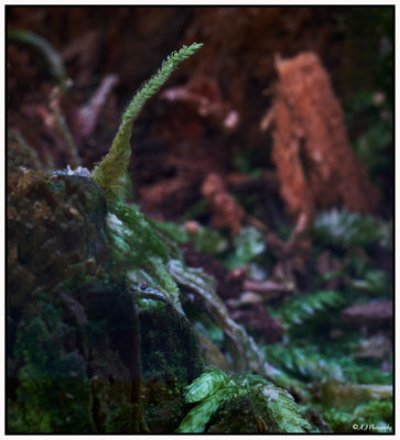 Reaching Out...