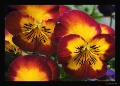 Colour My World..