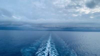 IMG_0088.jpg