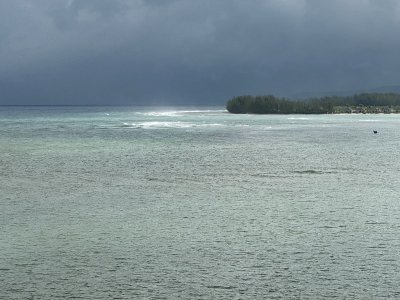 IMG_0523.jpg