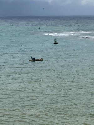 IMG_0524.jpg