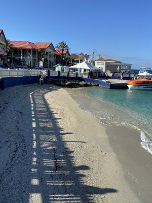 IMG_0539.jpg