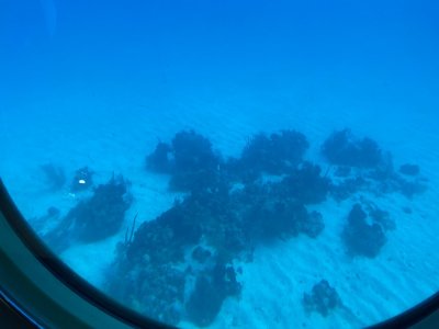 IMG_0560.jpg