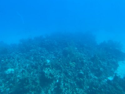 IMG_0561.jpg