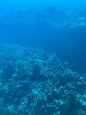 IMG_0564.jpg