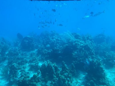 IMG_0566.jpg