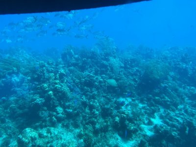 IMG_0567.jpg