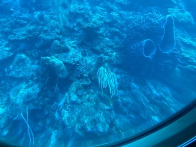 IMG_0576.jpg