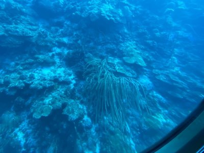 IMG_0579.jpg