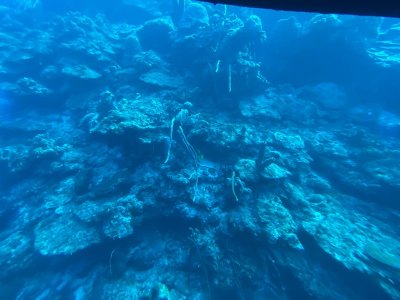 IMG_0580.jpg