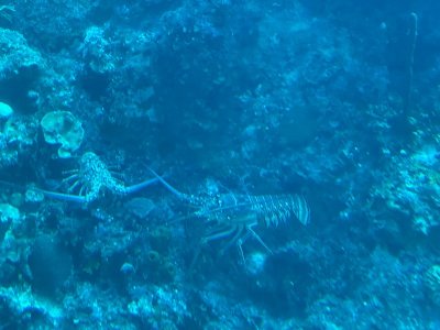 IMG_0583.jpg