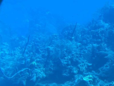 IMG_0585.jpg