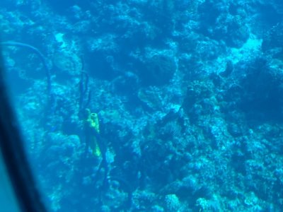 IMG_0586.jpg