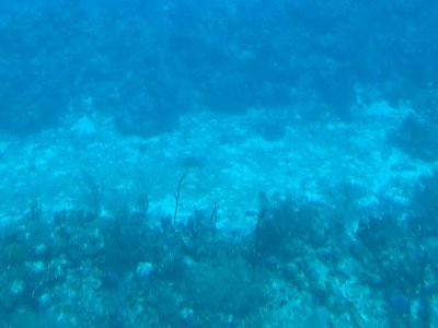 IMG_0587.jpg