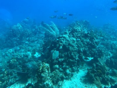 IMG_0591.jpg
