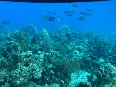 IMG_0595.jpg