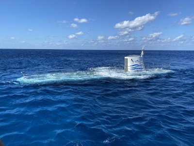 IMG_0602.jpg