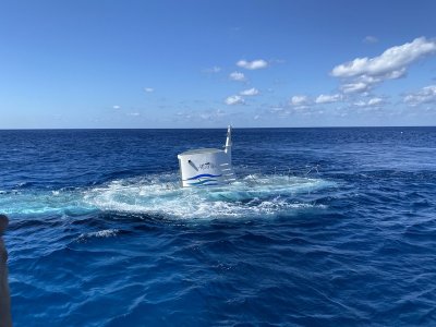 IMG_0603.jpg