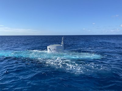g12/66/248066/3/170186306.VK8PIwh2.jpg