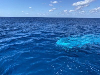 IMG_0606.jpg