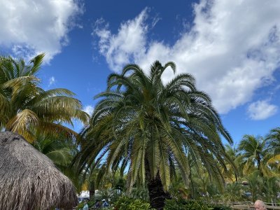 IMG_0674.jpg