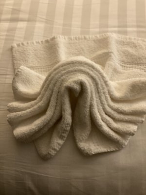 IMG_0650.jpg