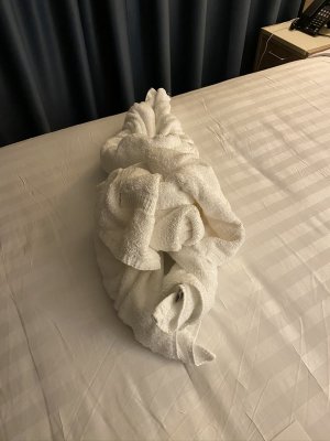 IMG_0683.jpg