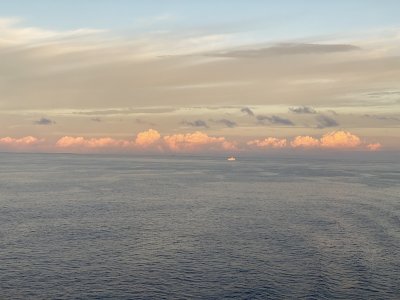 IMG_7918.jpg