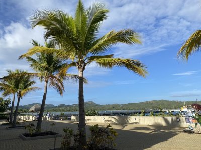 IMG_8046.jpg