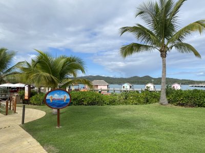 IMG_8073.jpg