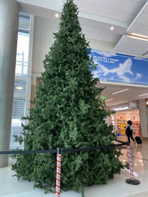 IMG_8245.jpg