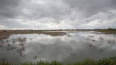 _ANG3457-w.jpg